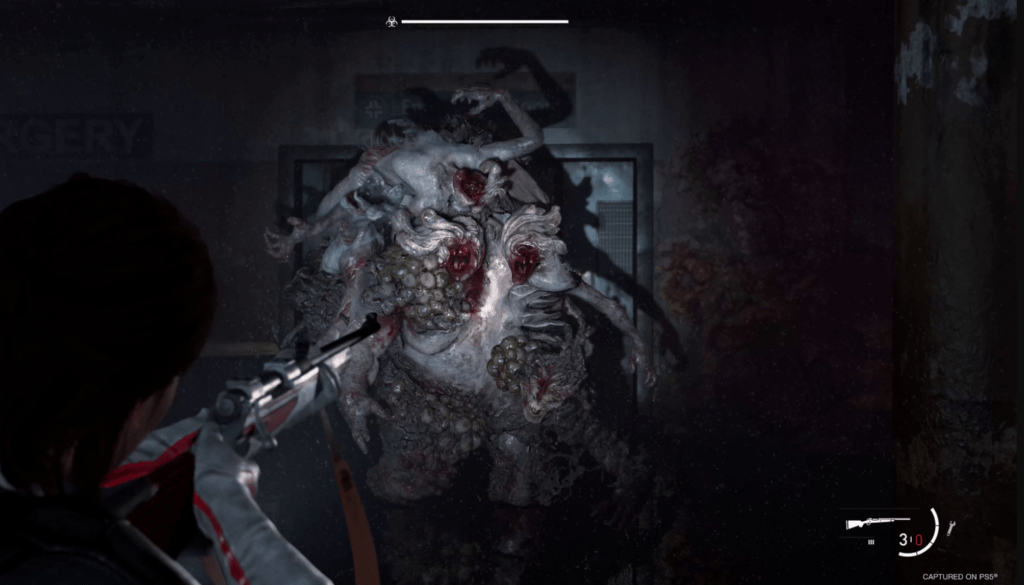 Last of Us supervivencia
