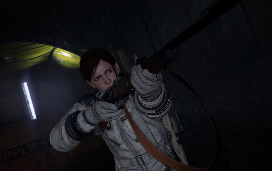 Last of Us supervivencia