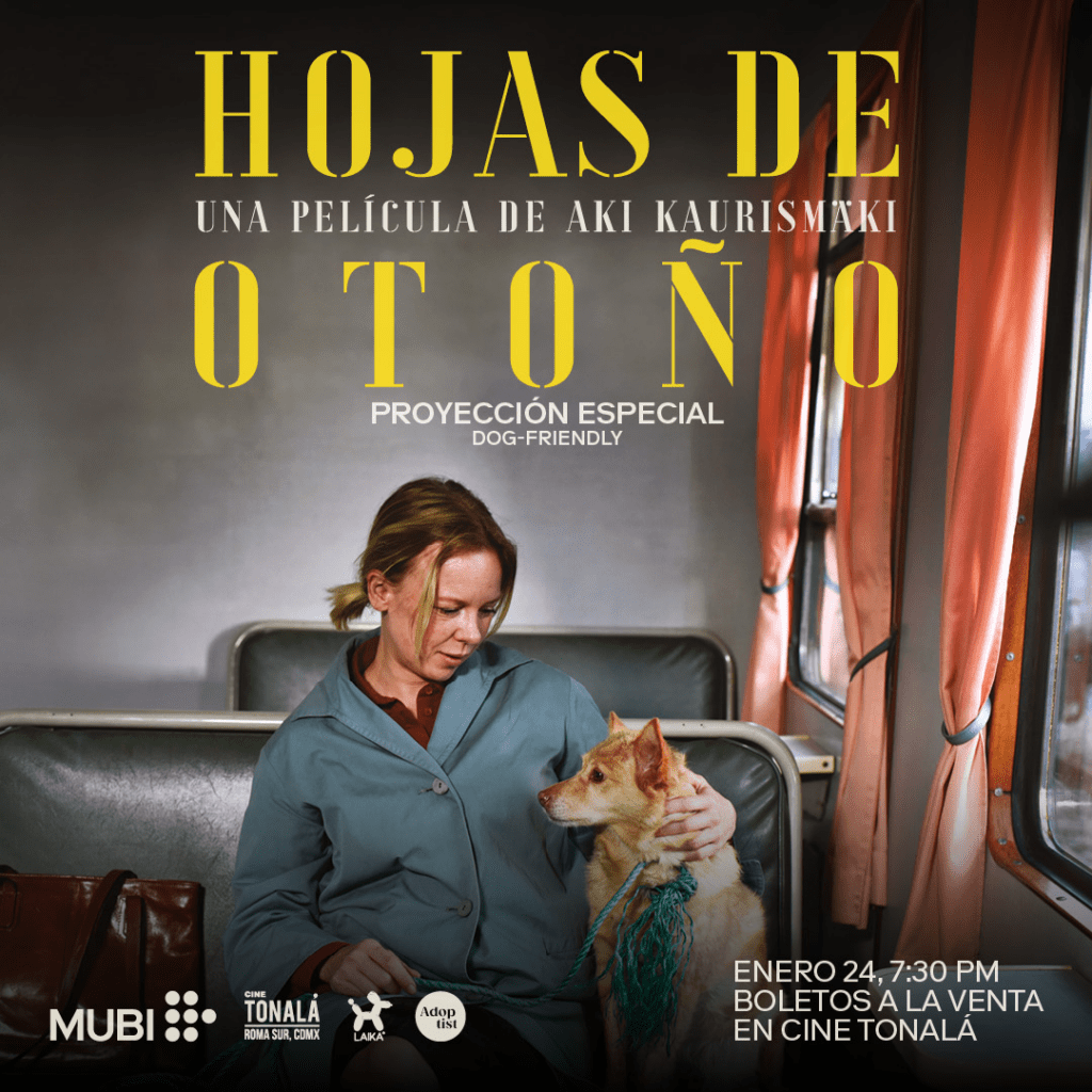 MUBI proyección hojas otoño