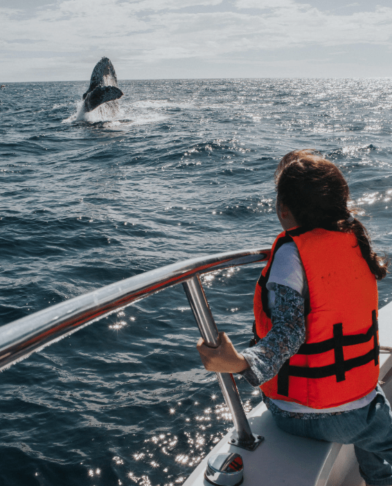especies cuidar turismo regenerativo