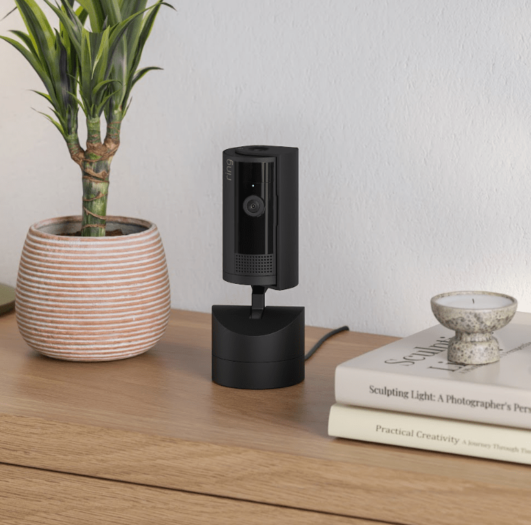 pan-tilt indoor cam