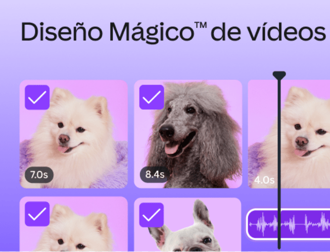 Canva Create