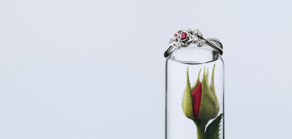 Pandora x Disney