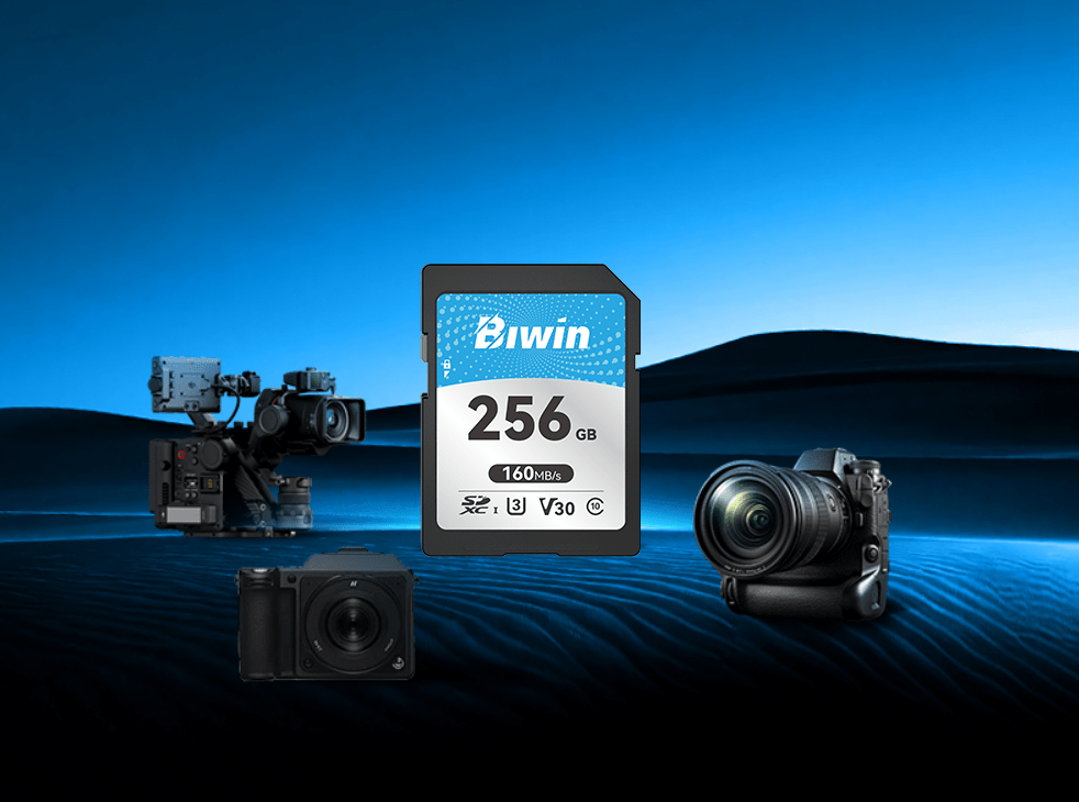 Biwin SD160