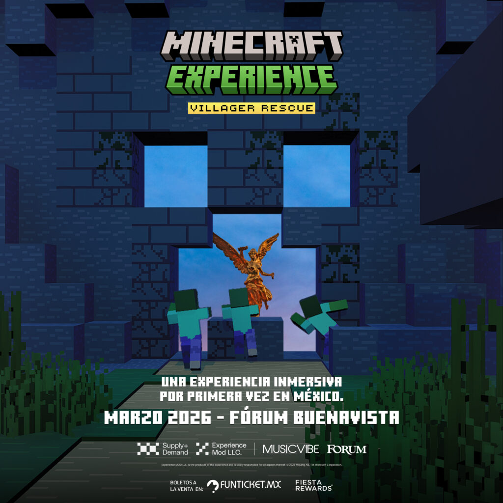 minecraft experience