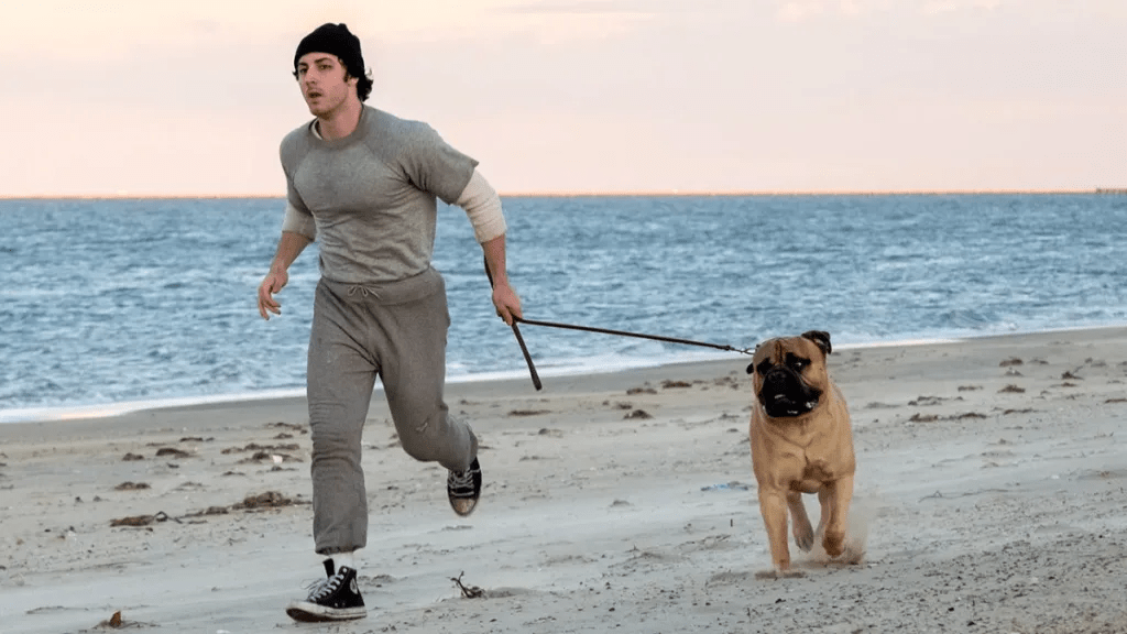 Yo Soy Rocky