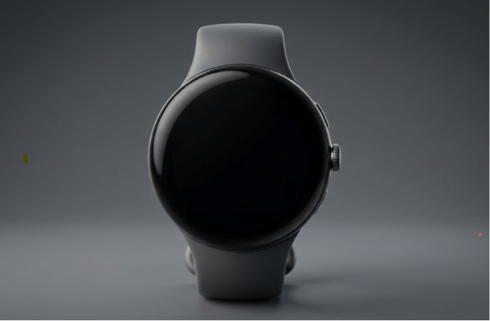 Pixel Watch 5
